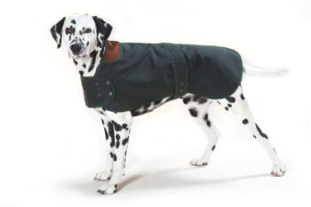 Hunter Dog Coat